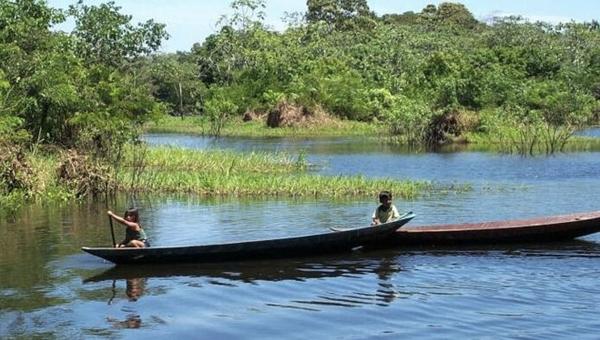 preservation Amazon rain forest